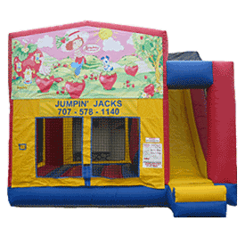 party inflatable in sonoma county