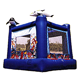 bouncy house in petaluma