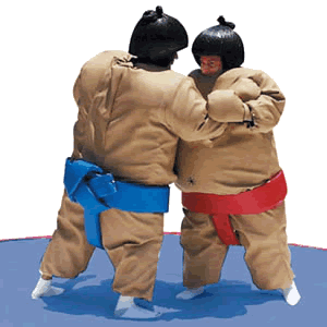 sumo suits in santa rosa